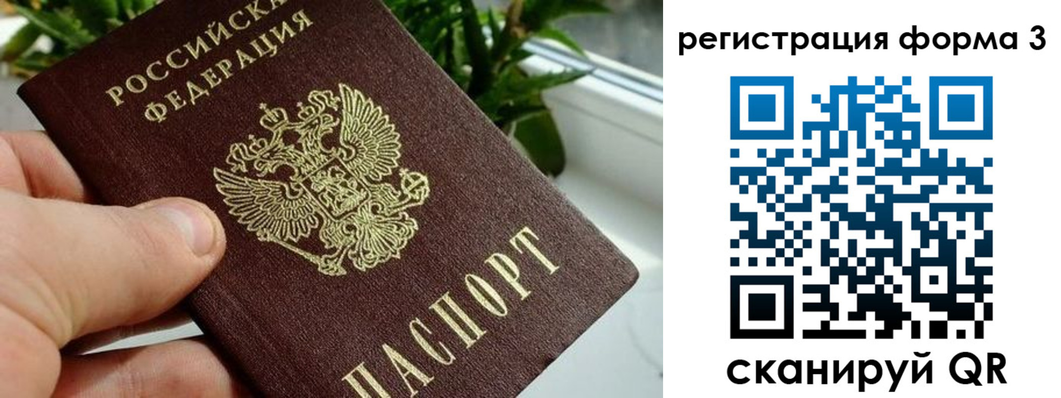 прописка штамп в Райчихинске